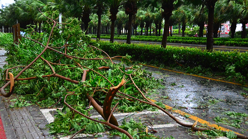 Bão Wutip gây tình trạng khẩn cấp cấp III tại các khu vực phía Nam