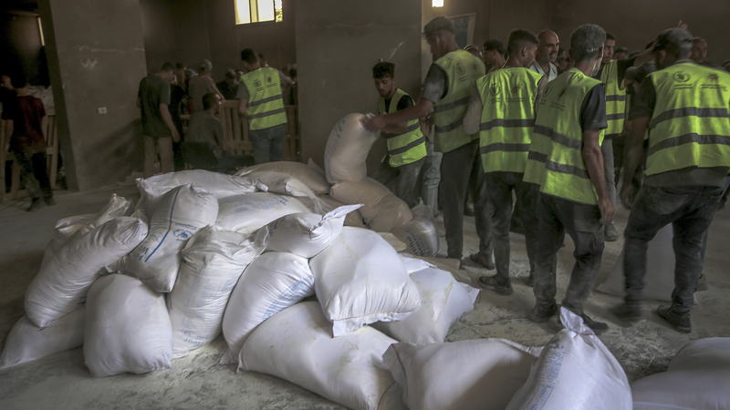 WHO Cung Cấp Viện Trợ Y Tế Quan Trọng Đến Gaza WHO Cung Cấp Viện Trợ Y Tế Quan Trọng Đến Gaza