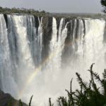 0OC32U4CVXKTY4CGR2A8 - Thế Giới Trong Tầm Tay Trung Quốc và Châu Phi Hợp Tác Bảo Vệ Vùng Đất Ngập Nước