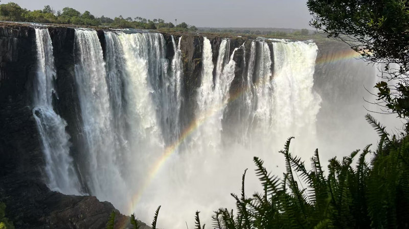 Trung Quốc và Châu Phi Hợp Tác Bảo Vệ Vùng Đất Ngập Nước