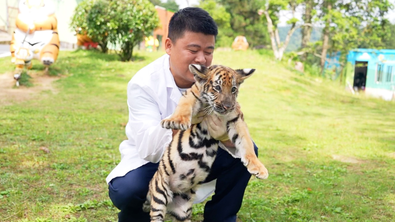 2XSEP0L038XV3831LJU7 - Thế Giới Trong Tầm Tay Giải mã Bí ẩn: Ý nghĩa thật sự của âm thanh hổ video poster