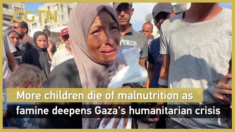Khủng hoảng Gaza: WHO cảnh báo nạn đói hàng loạt do con người gây ra Khủng hoảng Gaza: WHO cảnh báo nạn đói hàng loạt do con người gây ra video poster