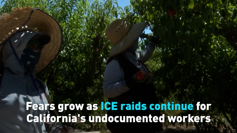 Các cuộc truy quét ICE ở California làm dấy lên nỗi sợ bị trục xuất Các cuộc truy quét ICE ở California làm dấy lên nỗi sợ bị trục xuất video poster