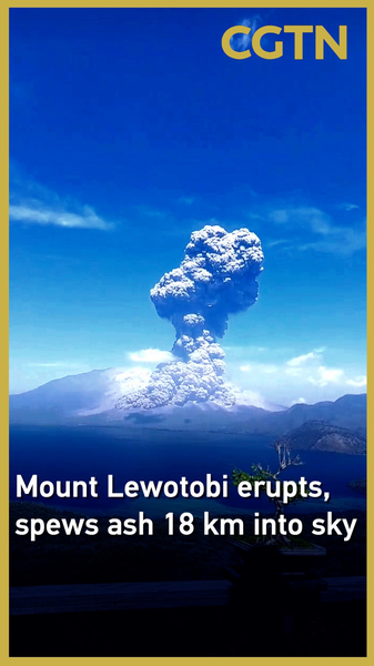 Núi lửa Lewotobi phun trào: Đám mây tro vươn cao 18 KM Núi lửa Lewotobi phun trào: Đám mây tro vươn cao 18 KM video poster