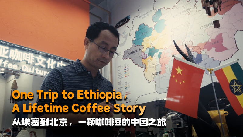 Hành Trình Cà Phê Ethiopia: Một Cuộc Đời Đổi Thay Hành Trình Cà Phê Ethiopia: Một Cuộc Đời Đổi Thay video poster