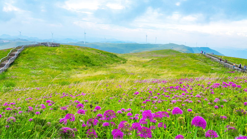 Du lịch sinh thái Trung Quốc-Thụy Sĩ: 75 năm hợp tác bền vững