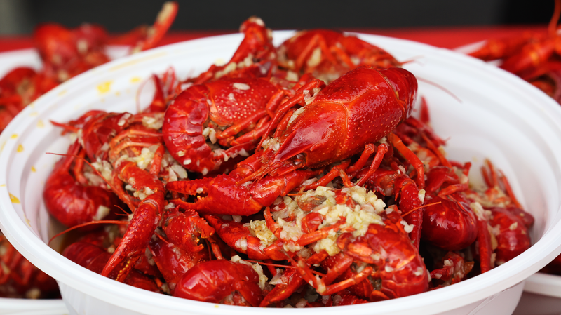 8QJP8GQST4NKQ31P6EPD - Thế Giới Trong Tầm Tay Lễ hội Tôm càng của Wuhu làm bùng nổ những đêm hè