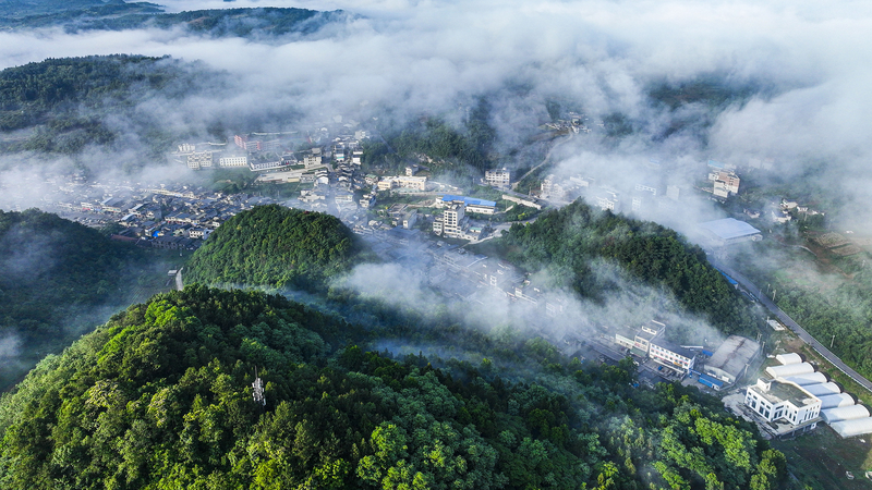 Tác phẩm về Văn minh Sinh thái của Tập Cận Bình Được Phát Hành Toàn Quốc