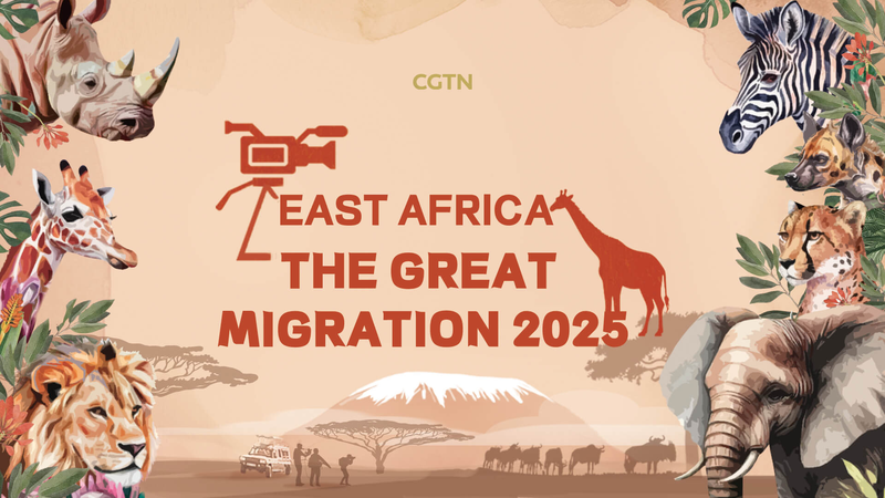 Đại Di Cư Kenya: Cuộc Phiêu Lưu Trực Tiếp Với Năm Loài Vật Lớn Đại Di Cư Kenya: Cuộc Phiêu Lưu Trực Tiếp Với Năm Loài Vật Lớn video poster