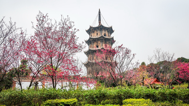 Những Giọng Nói Vượt Thời Gian: Di Sản của Đối Thoại Văn Hóa Những Giọng Nói Vượt Thời Gian: Di Sản của Đối Thoại Văn Hóa