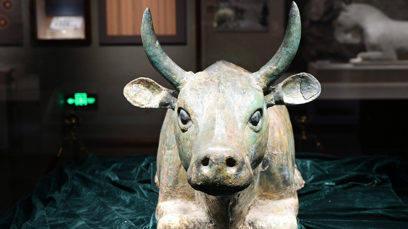 Bảo tàng Ninh Hạ sôi động với lịch sử và văn hóa mùa hè này