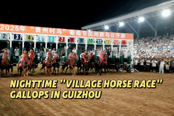 Cuộc Đua Ngựa Làng Ban Đêm Rực Sáng Guizhou Cuộc Đua Ngựa Làng Ban Đêm Rực Sáng Guizhou video poster