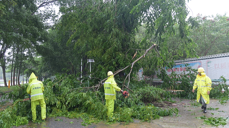 Bão Wipha Đặt Các Tỉnh Miền Nam Vào Tình Trạng Báo Động Bão Wipha Đặt Các Tỉnh Miền Nam Vào Tình Trạng Báo Động video poster