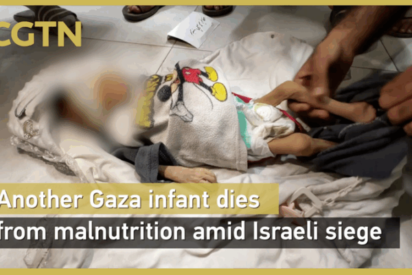 Mất Mát Đau Lòng ở Gaza: Trẻ Sơ Sinh Chết Đói Khi Viện Trợ Bị Ngăn Chặn Mất Mát Đau Lòng ở Gaza: Trẻ Sơ Sinh Chết Đói Khi Viện Trợ Bị Ngăn Chặn video poster