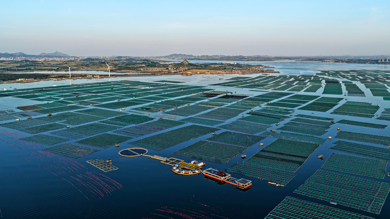 T5VX4RSXGLZYL120275V - Thế Giới Trong Tầm Tay Các nhà lãnh đạo Na Uy kêu gọi hợp tác xanh vì khí hậu và kinh tế