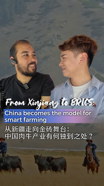 Nông nghiệp kỹ thuật số của Tân Cương thúc đẩy hợp tác BRICS Nông nghiệp kỹ thuật số của Tân Cương thúc đẩy hợp tác BRICS video poster