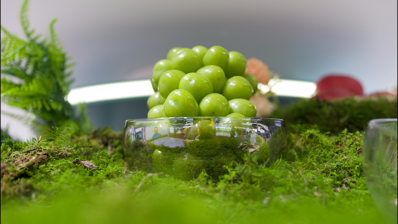 Công nghệ Gặp Đất: Đẩy Mạnh Kỹ Thuật Số Trong Nông Nghiệp Của Trung Quốc