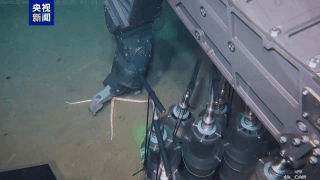 ROV Haiqin của Trung Quốc hoàn thành thử nghiệm biển sâu ở độ sâu 4.140m ROV Haiqin của Trung Quốc hoàn thành thử nghiệm biển sâu ở độ sâu 4.140m