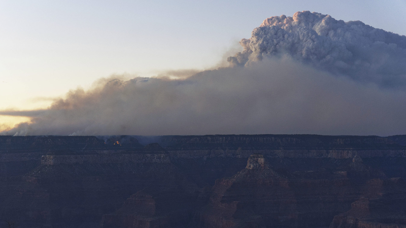 Cháy rừng bùng phát tại Công viên Quốc gia Grand Canyon Cháy rừng bùng phát tại Công viên Quốc gia Grand Canyon
