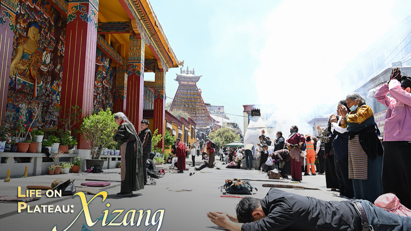 Cuộc sống trên mái nhà thế giới: Khám phá sức quyến rũ vùng cao của Xizang Cuộc sống trên mái nhà thế giới: Khám phá sức quyến rũ vùng cao của Xizang