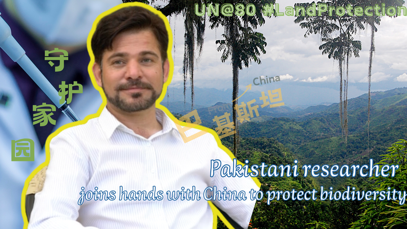 Nhà Nghiên Cứu Người Pakistan Gia Nhập Trung Quốc Bảo Vệ Đa Dạng Sinh Học Nhà Nghiên Cứu Người Pakistan Gia Nhập Trung Quốc Bảo Vệ Đa Dạng Sinh Học video poster