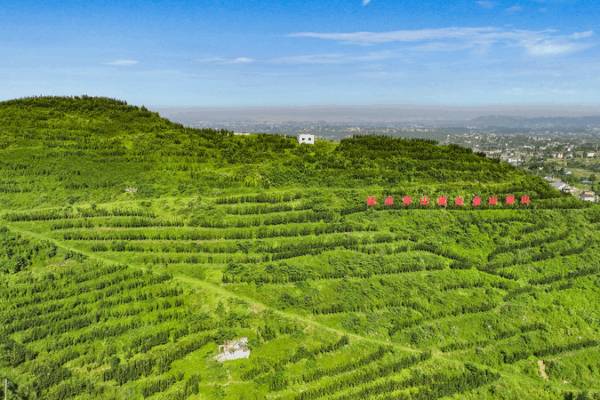 Thủ tướng Trung Quốc Lý Cường Kêu Gọi Xây Dựng Văn Minh Sinh Thái Trong Kỷ Nguyên Mới Thủ tướng Trung Quốc Lý Cường Kêu Gọi Xây Dựng Văn Minh Sinh Thái Trong Kỷ Nguyên Mới