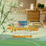 IQE7MHYEZM3MD8JACAX6 - Thế Giới Trong Tầm Tay Tre ở Anji: Anh hùng sinh thái định nghĩa lại cuộc sống xanh video poster