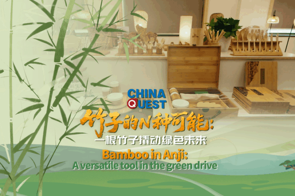 Tre ở Anji: Anh hùng sinh thái định nghĩa lại cuộc sống xanh Tre ở Anji: Anh hùng sinh thái định nghĩa lại cuộc sống xanh video poster