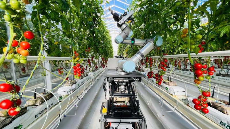 Trung Quốc Ra Mắt GEAIR, Robot Lai Tạo Thực Vật Hoàn Chỉnh Đầu Tiên Trên Thế Giới Trung Quốc Ra Mắt GEAIR, Robot Lai Tạo Thực Vật Hoàn Chỉnh Đầu Tiên Trên Thế Giới