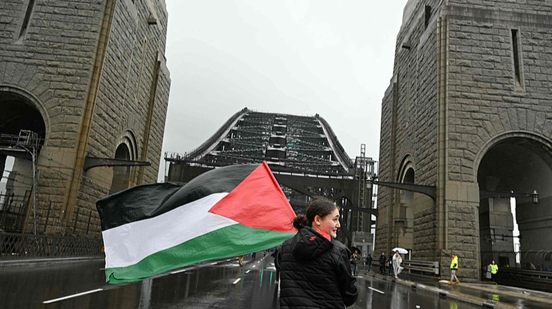Hàng Chục Nghìn Người Tuần Hành Trên Cầu Cảng Sydney Ủng Hộ Palestine Hàng Chục Nghìn Người Tuần Hành Trên Cầu Cảng Sydney Ủng Hộ Palestine