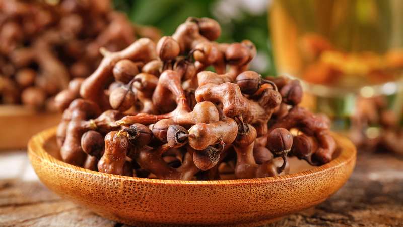 Mô hình “Hai Ngọn Núi” của Trung Quốc: Con đường xanh thoát nghèo Mô hình "Hai Ngọn Núi" của Trung Quốc: Con đường xanh thoát nghèo