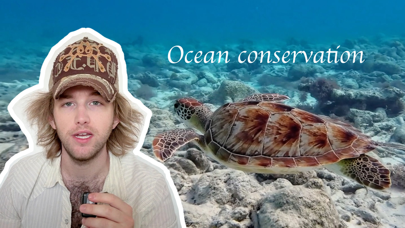 UN@80: Vlogger Robbie Swain Kêu Gọi Hành Động của Thanh Niên Bảo Vệ Đại Dương UN@80: Vlogger Robbie Swain Kêu Gọi Hành Động của Thanh Niên Bảo Vệ Đại Dương video poster