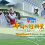 Công Nghệ Xanh: Tre, Năng Lượng Sạch, và Những Anh Hùng Hồ Tây video poster