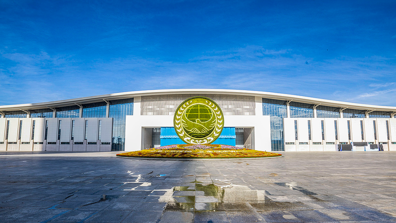 Hoa chào đón các nhà lãnh đạo tại Hội nghị Thượng đỉnh SCO ở Thiên Tân Hoa chào đón các nhà lãnh đạo tại Hội nghị Thượng đỉnh SCO ở Thiên Tân