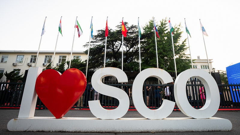Thương mại SCO của Trung Quốc gần 248 tỷ USD trong nửa đầu năm 2025