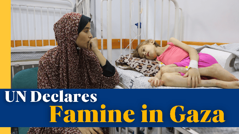 LHQ Tuyên Bố Nạn Đói Ở Gaza Khi Khủng Hoảng Nhân Đạo Trở Nên Trầm Trọng LHQ Tuyên Bố Nạn Đói Ở Gaza Khi Khủng Hoảng Nhân Đạo Trở Nên Trầm Trọng video poster