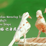 XK47J4FZVVTN3SZYTJLZ - Thế Giới Trong Tầm Tay Dệt Tre Anji: 7 Bước Của Một Nghề Thủ Công Truyền Thống video poster