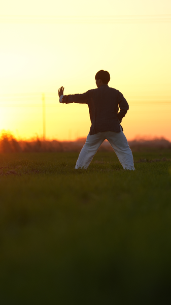 Bajiquan Hoàng Hôn: Giải Phóng Sức Mạnh từ Tám Cực Bajiquan Hoàng Hôn: Giải Phóng Sức Mạnh từ Tám Cực video poster