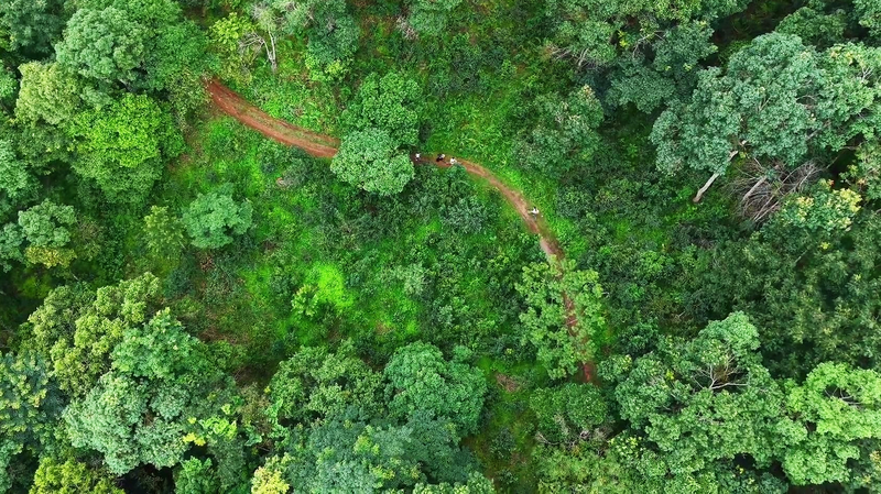 Hướng Dẫn Viên Trẻ Blang Khám Phá Bí Mật Sinh Thái Của Núi Jingmai Hướng Dẫn Viên Trẻ Blang Khám Phá Bí Mật Sinh Thái Của Núi Jingmai video poster