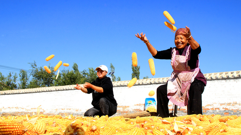 Tuổi Thọ Tại Tân Cương Tăng Vọt Lên 77: Sách Trắng Mới Báo Cáo Những Thành Tựu Y Tế Tuổi Thọ Tại Tân Cương Tăng Vọt Lên 77: Sách Trắng Mới Báo Cáo Những Thành Tựu Y Tế