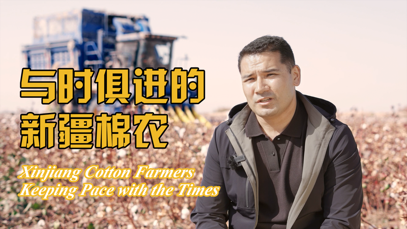 Nông dân Tân Cương đón nhận đổi mới trong trồng bông Nông dân Tân Cương đón nhận đổi mới trong trồng bông video poster