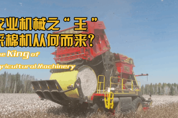 Máy thu hoạch bông tự phát triển ở Tân Cương cách mạng hóa nông nghiệp Máy thu hoạch bông tự phát triển ở Tân Cương cách mạng hóa nông nghiệp video poster