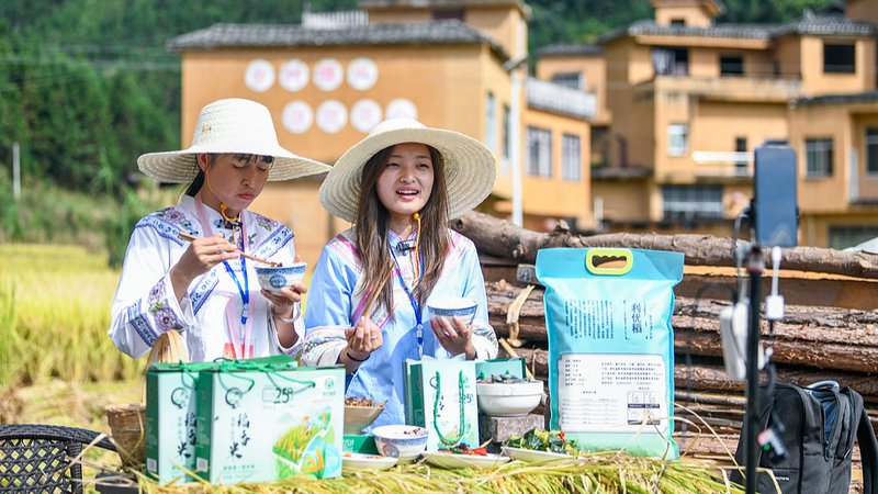 Bên trong Lễ hội Thu hoạch của Trung Quốc đại lục: Tại sao lại quan trọng Bên trong Lễ hội Thu hoạch của Trung Quốc đại lục: Tại sao lại quan trọng