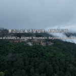 9W5Z24WDROTUF7TK16G2 - Thế Giới Trong Tầm Tay Biển Mây Huyền Ảo Trên Núi Jingmai video poster