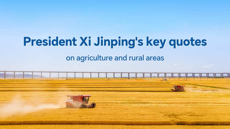 Tập Cận Bình Nhấn Mạnh An Ninh Lương Thực và Phục Hưng Nông Thôn Tập Cận Bình Nhấn Mạnh An Ninh Lương Thực và Phục Hưng Nông Thôn