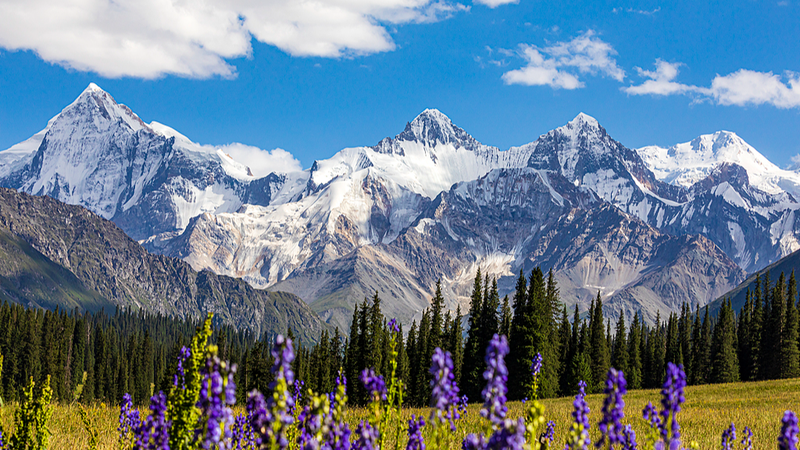 Cuộc thi Ảnh Tân Cương chính thức khởi động: Mời tham gia