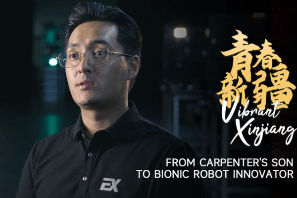 Từ con trai thợ mộc đến nhà sáng tạo robot sinh học ở Tân Cương Từ con trai thợ mộc đến nhà sáng tạo robot sinh học ở Tân Cương video poster