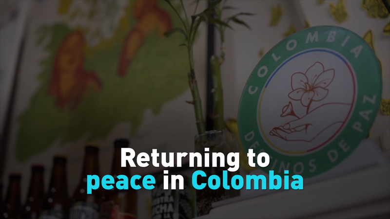 Từ Đấu Tranh Vũ Trang Đến Bia Thủ Công: Các Cựu Chiến Binh FARC Ủ Hòa Bình tại Bogotá Từ Đấu Tranh Vũ Trang Đến Bia Thủ Công: Các Cựu Chiến Binh FARC Ủ Hòa Bình tại Bogotá video poster
