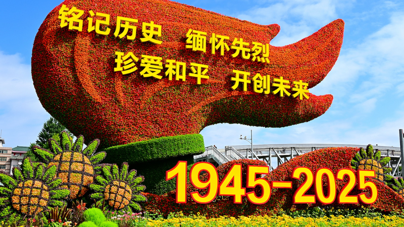 Tập: Các nghi lễ kỷ niệm Ngày Chiến thắng thúc đẩy sự hồi sinh quốc gia của Trung Quốc Tập: Các nghi lễ kỷ niệm Ngày Chiến thắng thúc đẩy sự hồi sinh quốc gia của Trung Quốc