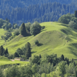 GPNK4YLFLZYJS9RO6UYR - Thế Giới Trong Tầm Tay Khám phá tàn tích vương quốc Wusun trên đồng cỏ Nalati video poster